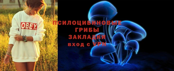 2c-b Абдулино