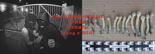 2c-b Абдулино