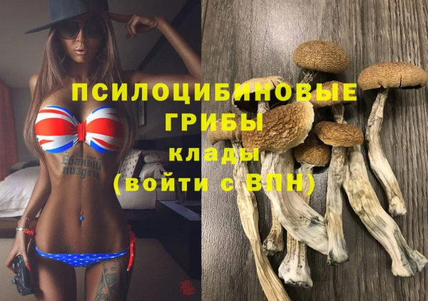 2c-b Абдулино