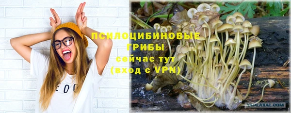 2c-b Абдулино